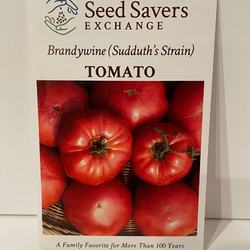 Brandywine (Sudduth's Strain) Tomato